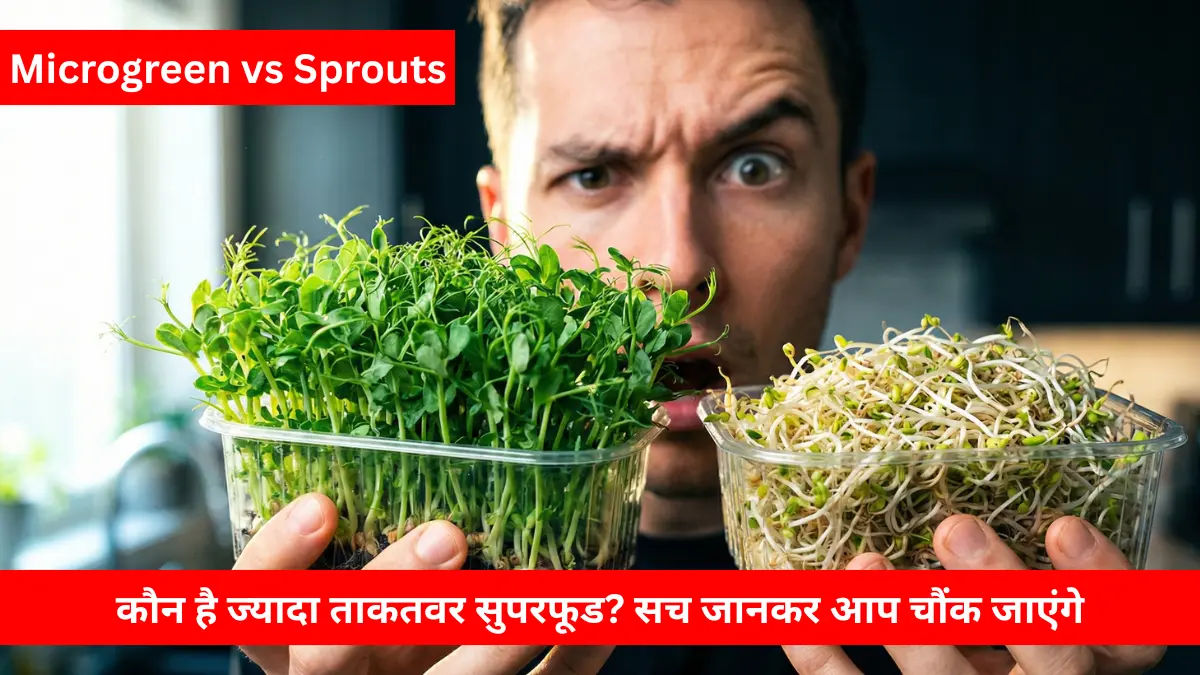 Microgreen vs Sprouts.